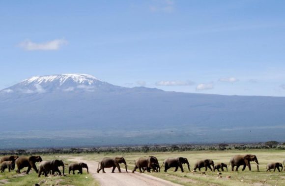 6 Days Amboseli, Lake Nakuru & Masai Mara Safari